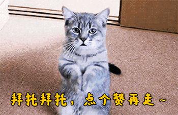 魔力宝贝私服的任务链设计 如何提高游戏的连贯性 魔力宝贝私服的任务链设计 如何提高游戏的连贯性