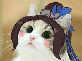 魔力宝贝私服跨服PVP战斗策略解析 魔力宝贝私服跨服PVP战斗策略解析